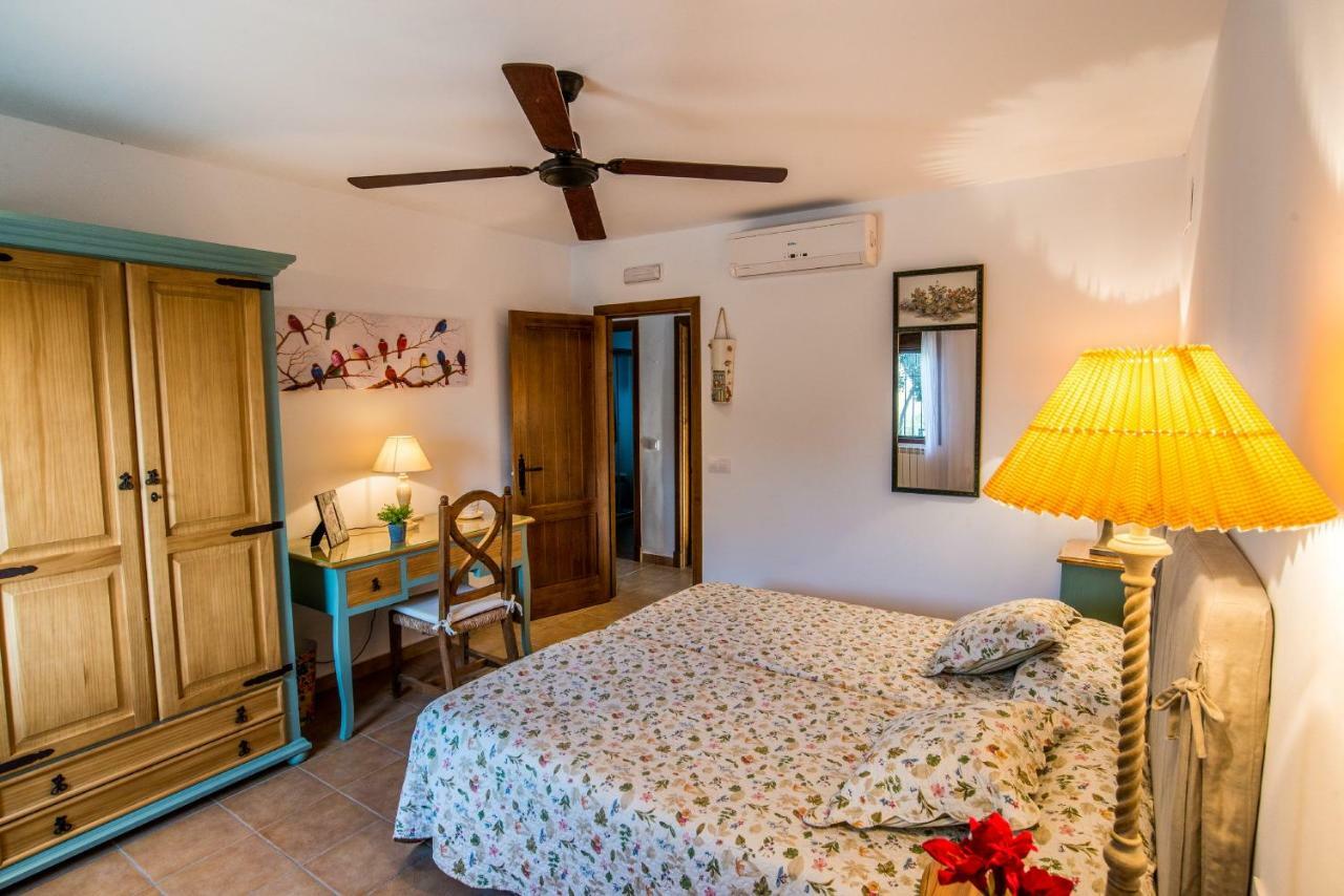 ארקוס דה לה פרונטרה Vivienda Rural Olivar De San Telmo מראה חיצוני תמונה