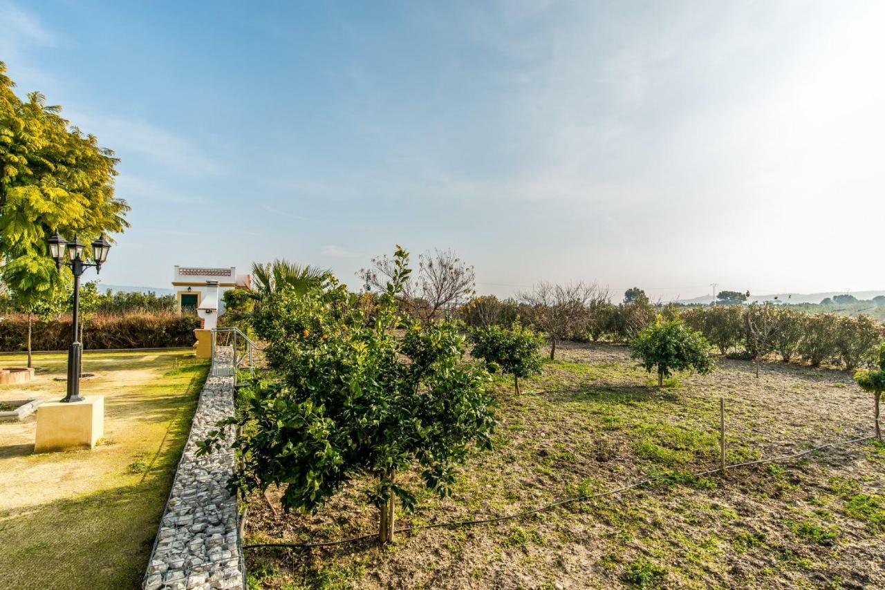 ארקוס דה לה פרונטרה Vivienda Rural Olivar De San Telmo מראה חיצוני תמונה