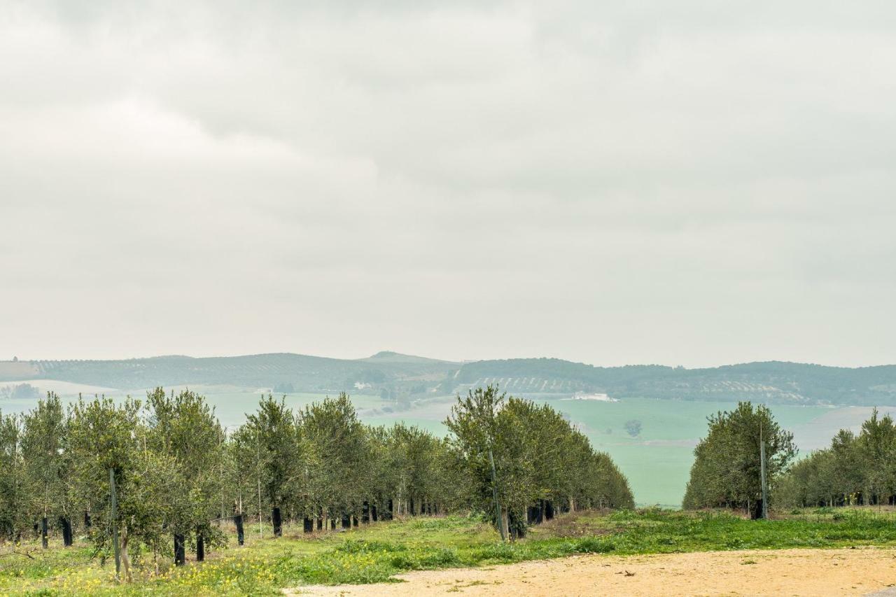 ארקוס דה לה פרונטרה Vivienda Rural Olivar De San Telmo מראה חיצוני תמונה