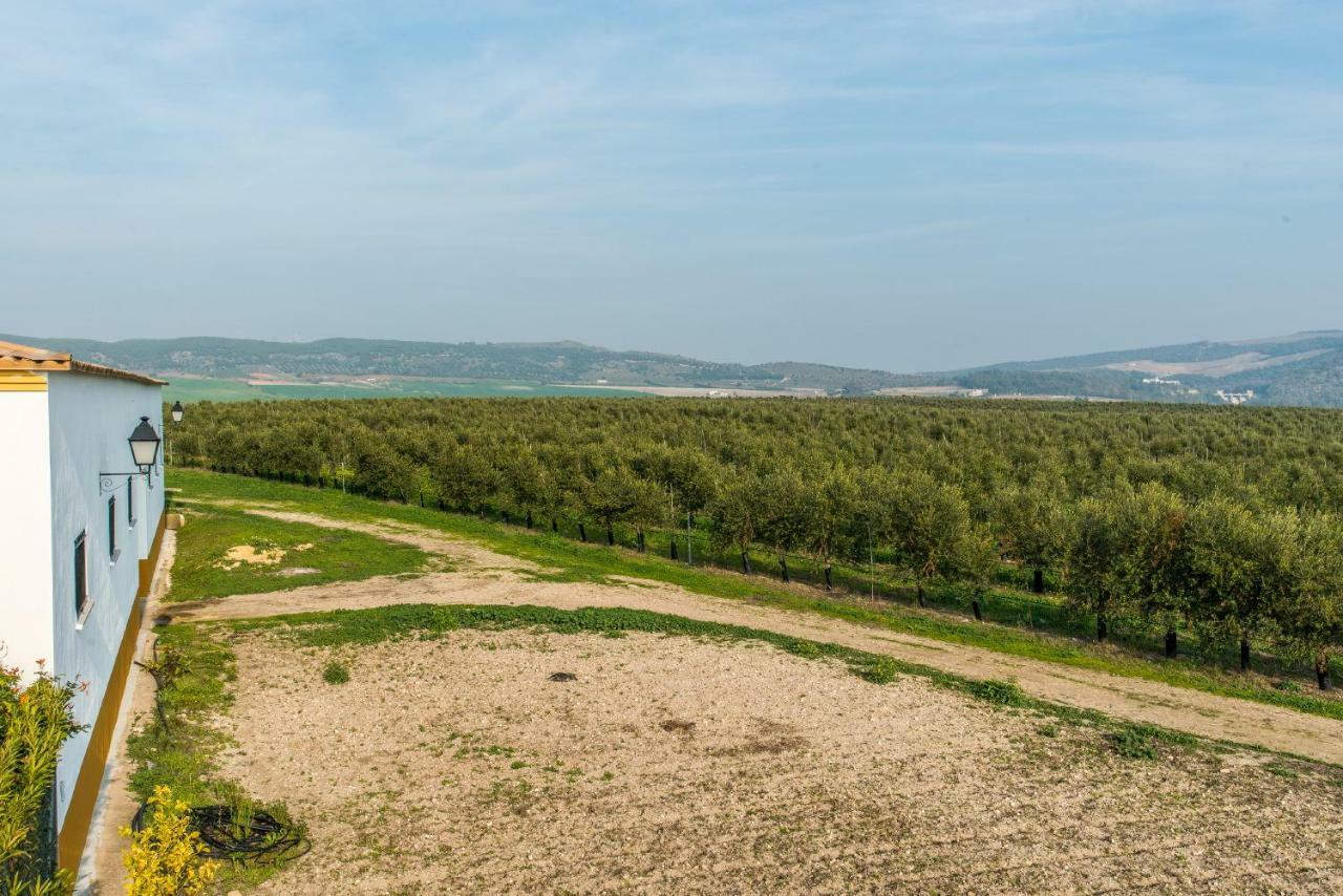 ארקוס דה לה פרונטרה Vivienda Rural Olivar De San Telmo מראה חיצוני תמונה